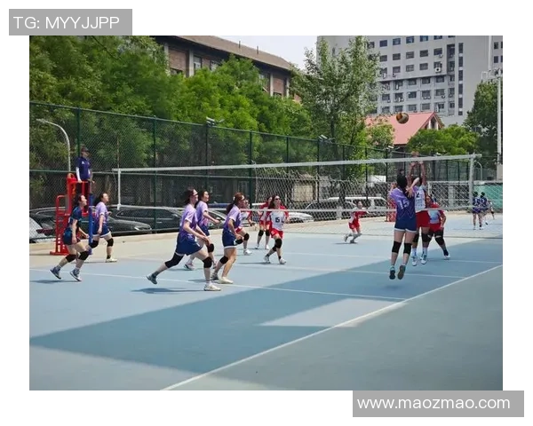 北京排球队速度分析与战术应用探讨助力排球竞技水平提升 北京排球队速度分析与战术应用探讨助力排球竞技水平提升