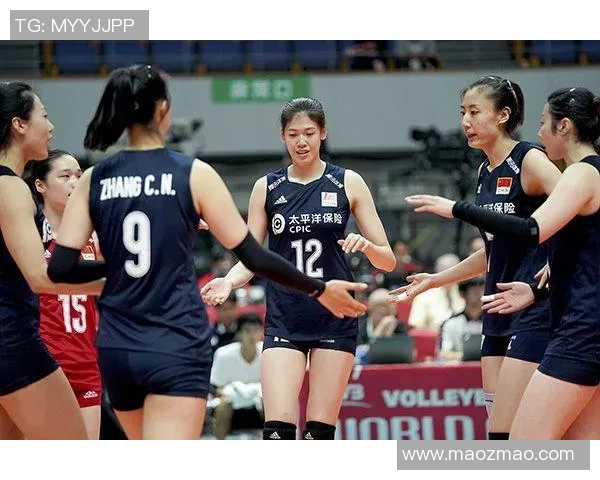 杭州排球队的力量与精神：聚焦排球运动的崛起与发展